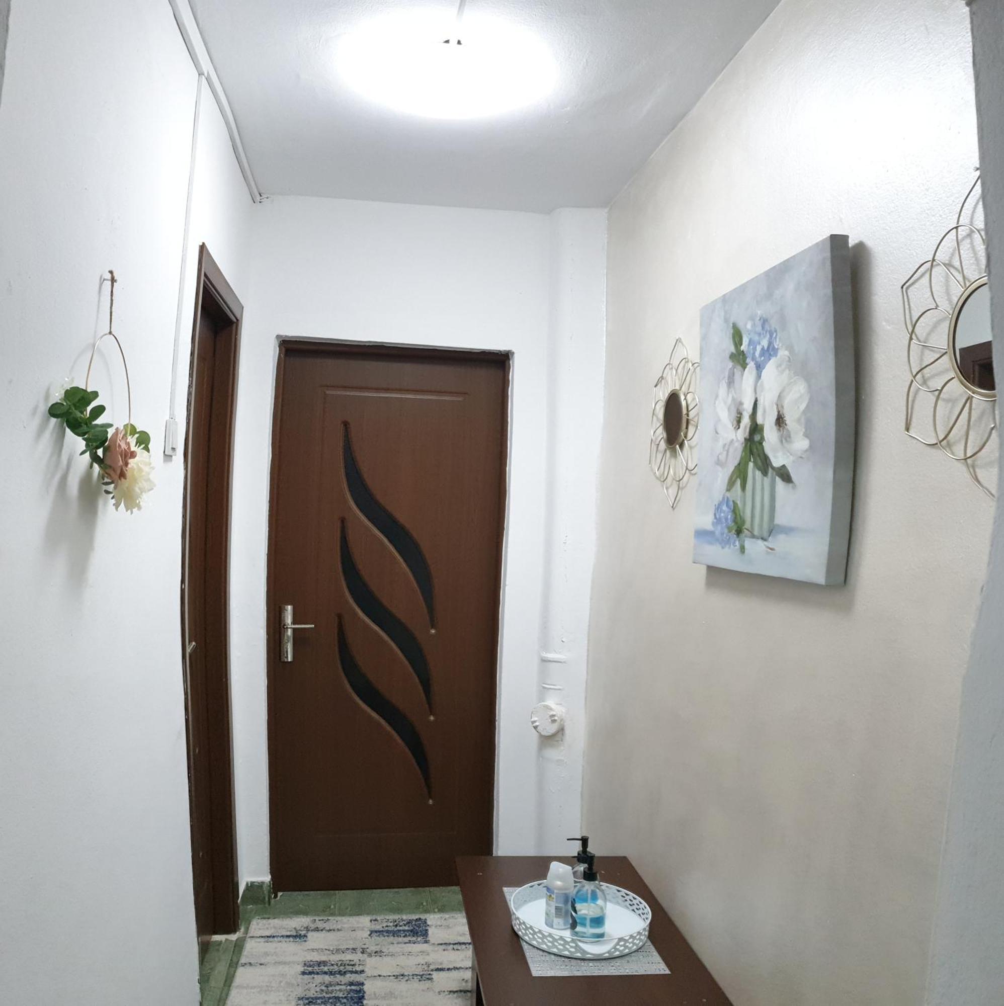 Elena Apartment Orsova Exterior photo